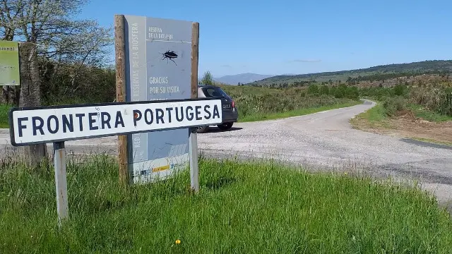 Calvos de Randín